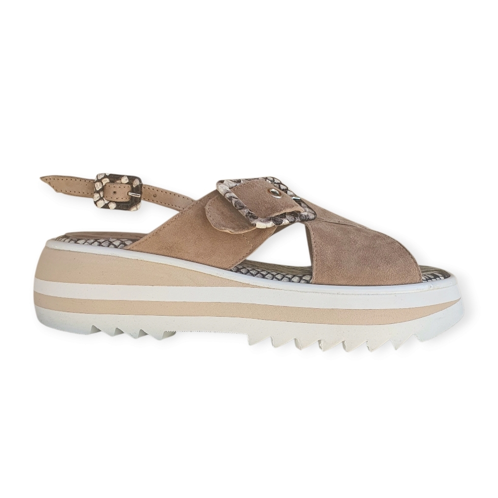 H177S Cam. new biscuit